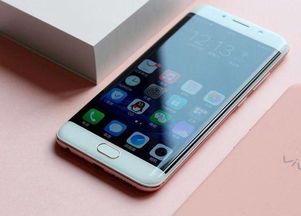 vivo与华为 两大国产旗舰的全面对比与选择分析